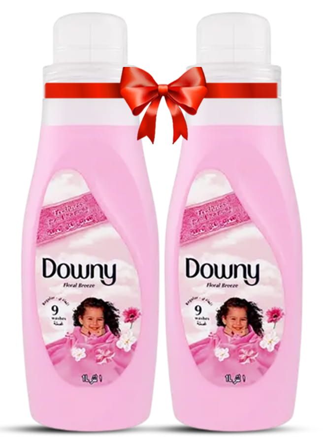 Regular Fabric Softener Floral Breeze 2x1L